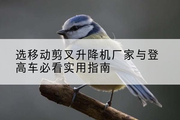 临邑电动升降机厂家-选移动剪叉升降机厂家与登高车必看实用指南