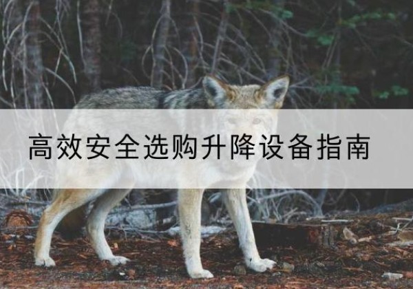 临邑升降货梯厂家推荐-*安全选购升降设备指南
