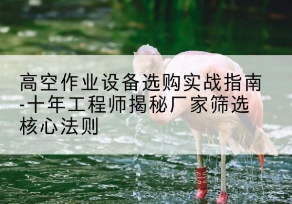 临邑剪叉式升降机厂家-高空作业设备选购实战指南-十年工程师揭秘厂家筛选核心法则